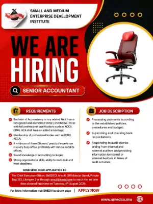 Senior accountant 