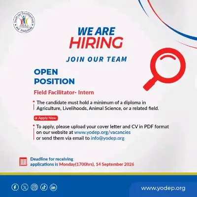 Field Facilitator - Intern