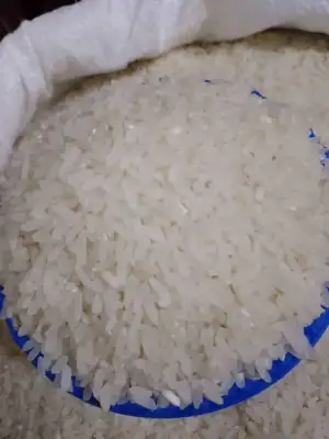 Rice 