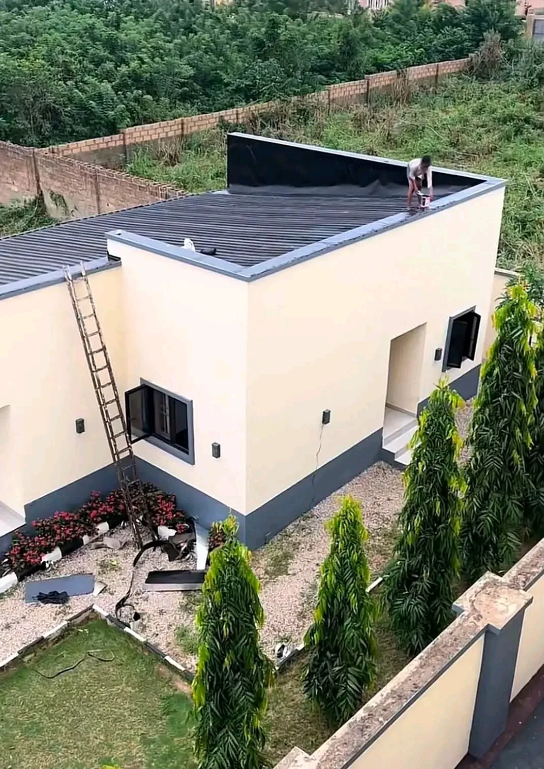 House painting , image 3