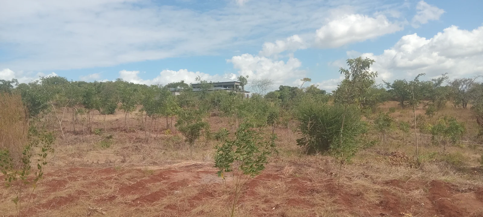 Plots  — image 2