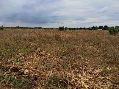 LAND FOR SALE SIZE 22 ACRES (0989849411)