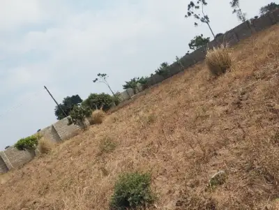 PRIME LAND FOR SALE SIZE 2 ACRES (0989849411)