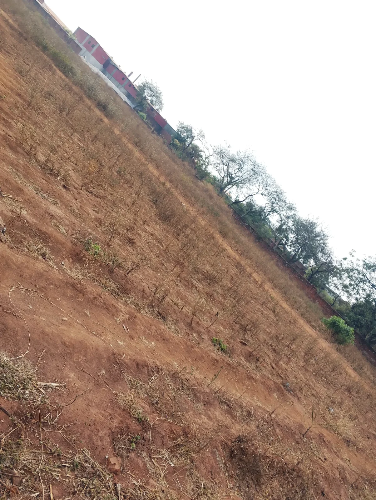 PRIME LAND FOR SALE SIZE 2 ACRES (0989849411), image 2