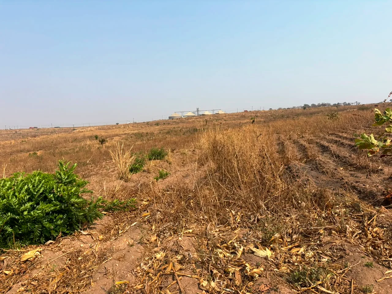 LAND FOR SALE 13 ACRES (+265989849411), image 2
