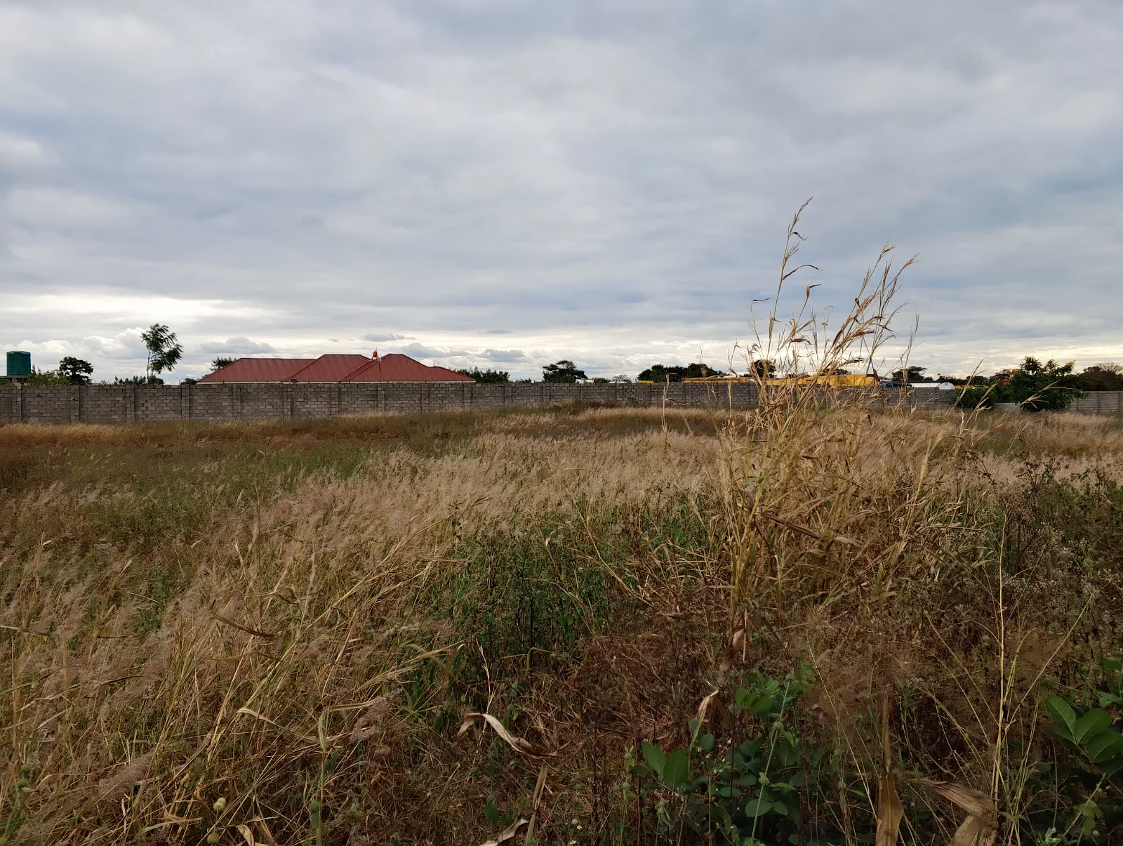 LAND FOR SALE SIZE 20 ACRES (+265989849411), image 6